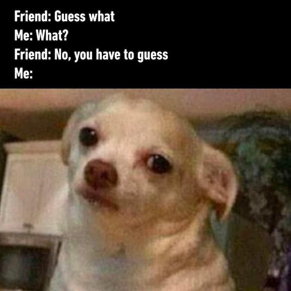 Grumpy Memes for Old Dad Pissed Off Funny Adult Life Humor Wis-DUMB
