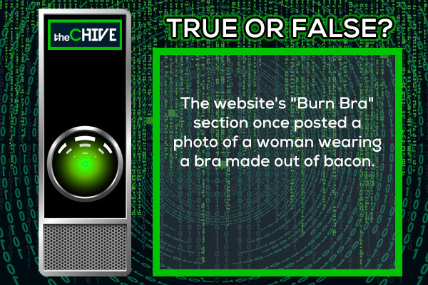 theCHIVE's history according to artificial intelligence