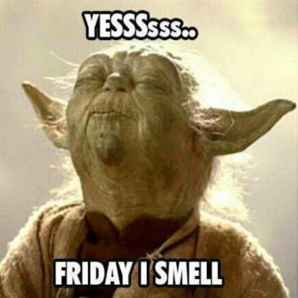 Beer-a-FULL Memes Funny Drinking Friday Pics Stupid Wis-DUMB Thoughts