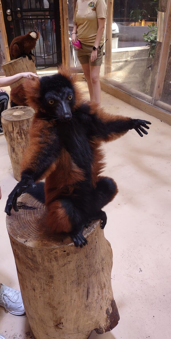 Epically awesome, and hilarious, animals.