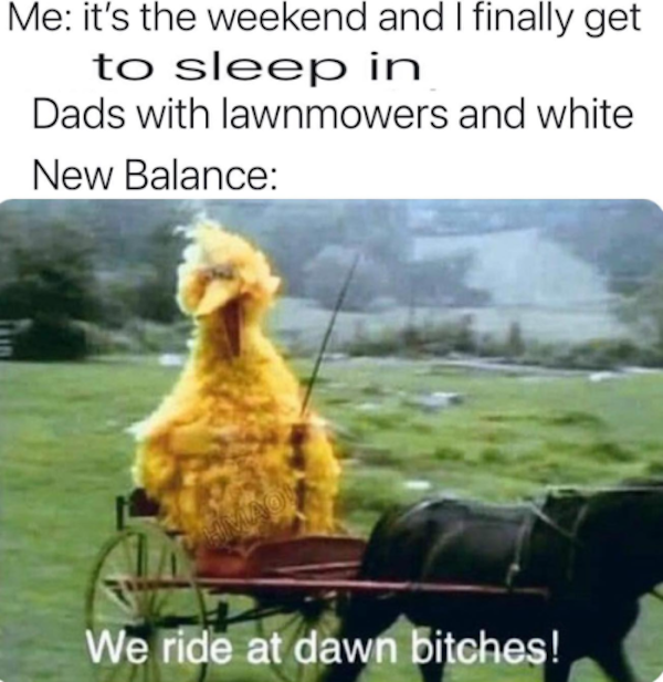 Dad Memes and Stupid Old Parents Jokes Funny Photo Captions