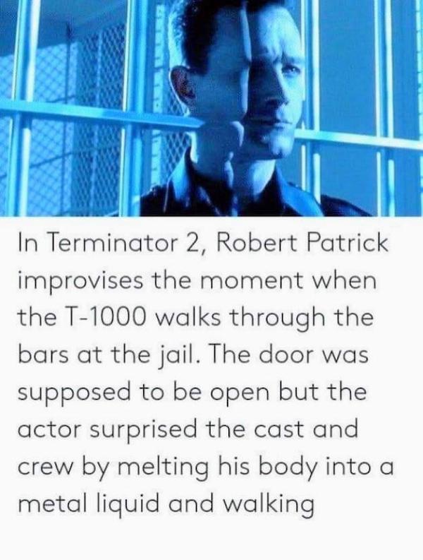 Terminator Movie Memes and Funny T2 GIFs Best Action Flick List