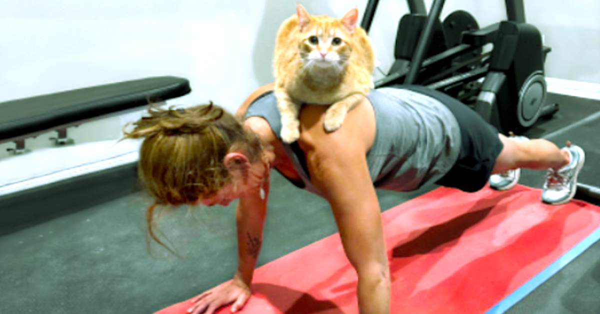 Weekend Afternoon Randomness (45 Photos) - Jarastyle