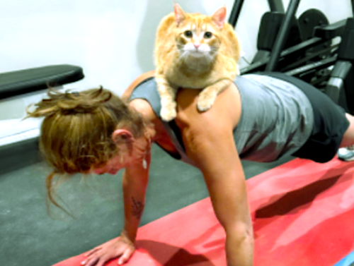 Weekend Afternoon Randomness (45 Photos) - Jarastyle 1 Weekend Afternoon Randomness (45 Photos) - Jarastyle