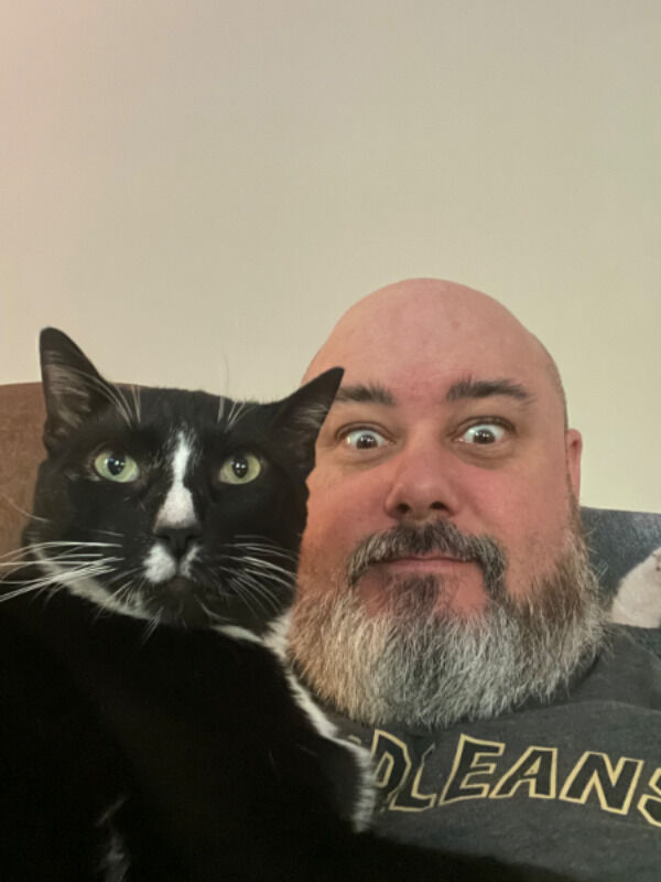 The Cats Have Awoken, and So Shall You
