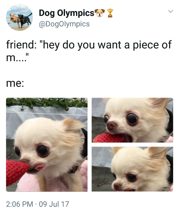 Throw a Bone to the Good Boys