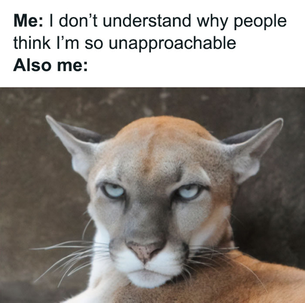 Introvert memes to laugh at while you screen your calls