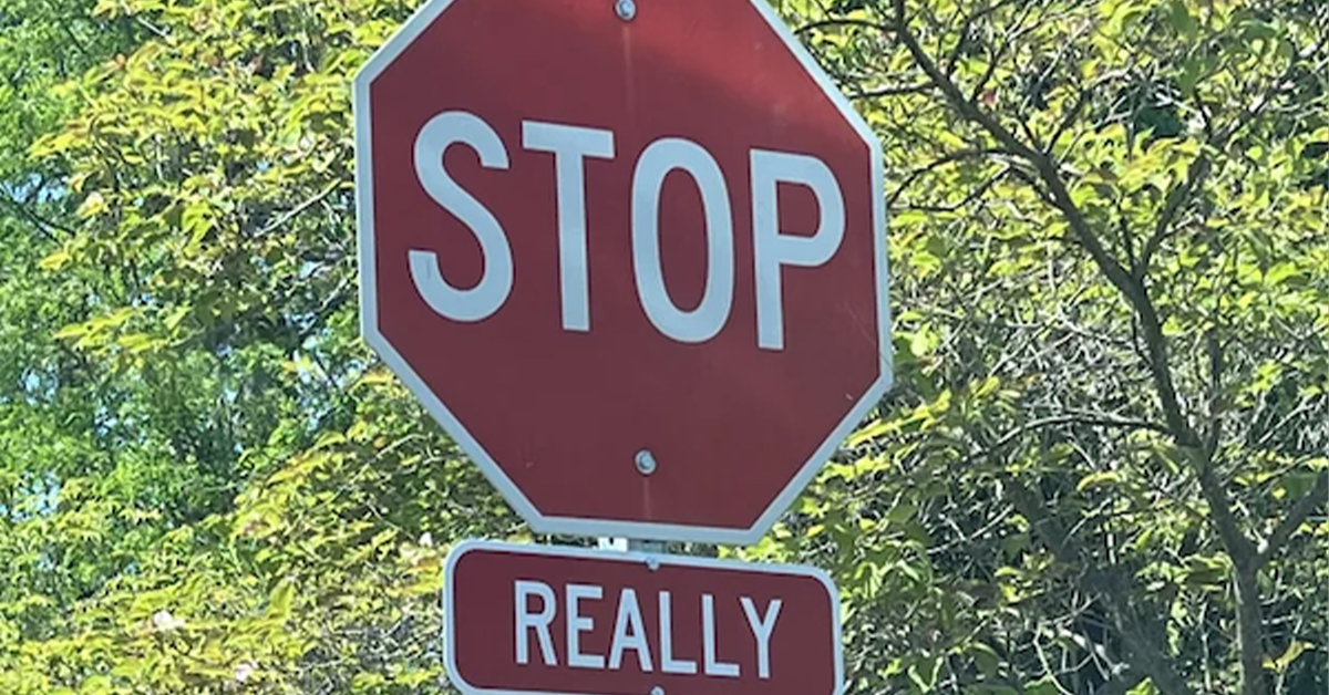 Weekend Afternoon Randomness (35 Photos) - Jarastyle