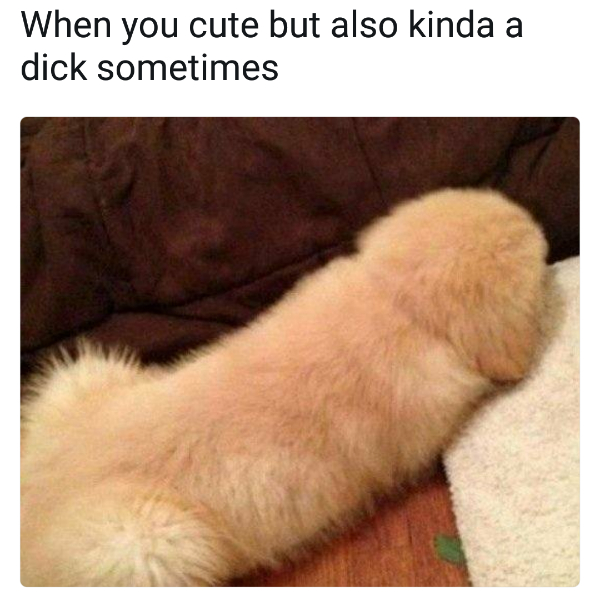 Throw a Bone to the Good Boys