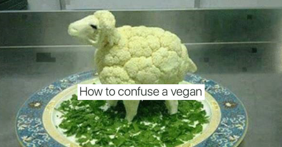 VeganMemesLead.jpg?attachment_cache_bust
