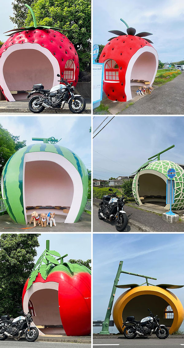 Otherworldly bus stops have us all rubbernecking