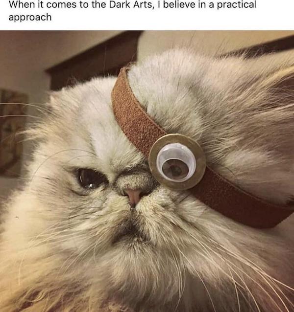 Mind-LESS Meme Best Stupid Funny Logic Photo Caption 2023 New Picture