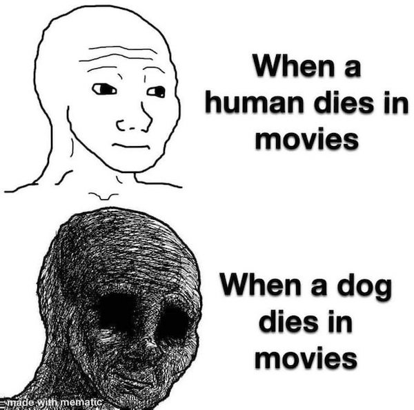 Lights, Camera, Action, Memes!!! (30 Photos)