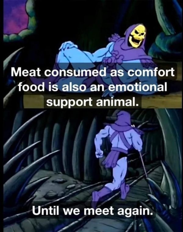 Welcome to the Hunger Memes