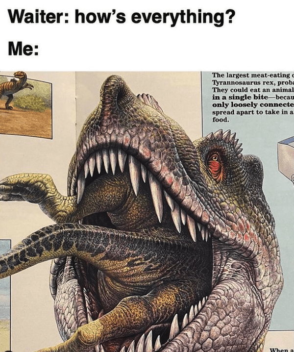 And now, for something completely different Dinosaur Memes