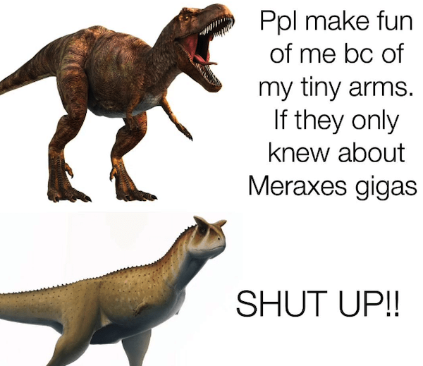 And now, for something completely different Dinosaur Memes