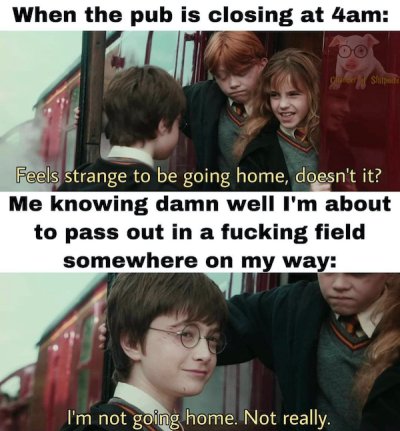 30 Harry Potter Memes For Wizards Celebrating Harry Potter's 43rd Birthday  (July 31, 2023) - Memebase - Funny Memes