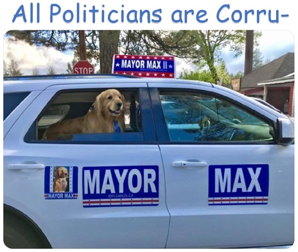 license-plate-all-politicians-are-corru-mayor-max-stop-mayor-max-ii-mayor-idyllwild-ca-max.jpg