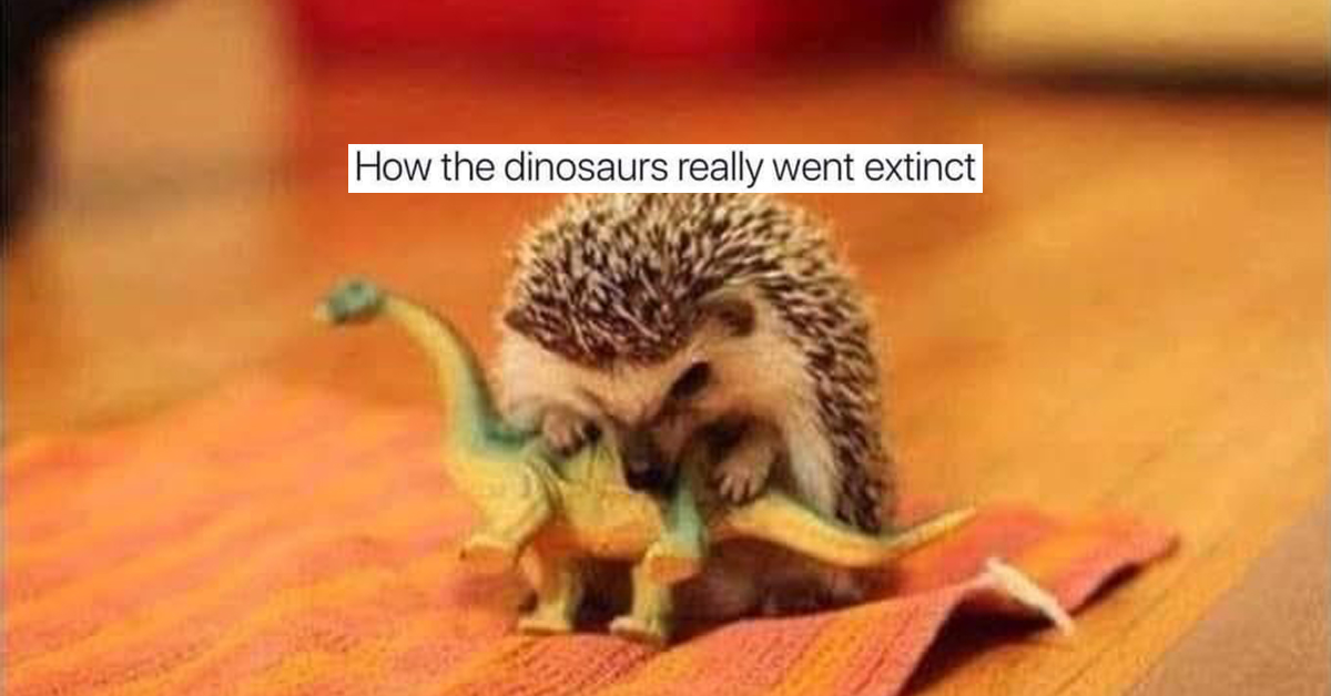 dinosaurs-might-be-extinct-but-the-memes-about-them-aren-t