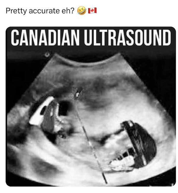 Canada memes to go with maple syrup and other stereotypes