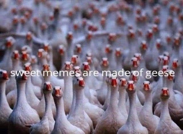 Canada memes to go with maple syrup and other stereotypes