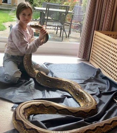 Father Thinks Snakes Are Harmless, Lets Daughter Play With Pet Python