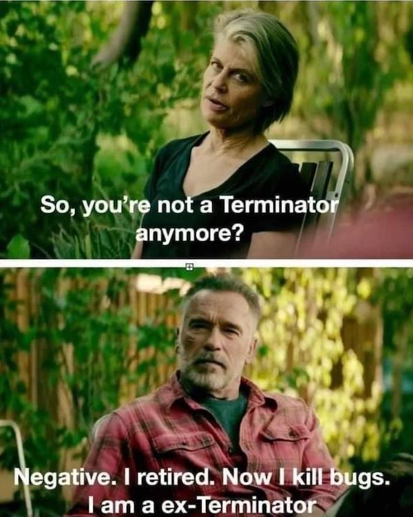 Terminator Movie Memes and Funny T2 GIFs Best Action Flick List T-1000