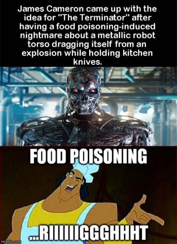 Terminator Movie Memes and Funny T2 GIFs Best Action Flick List T-1000