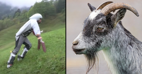 Goat man who tried escaping stressful way of life wins Ig Nobel prize