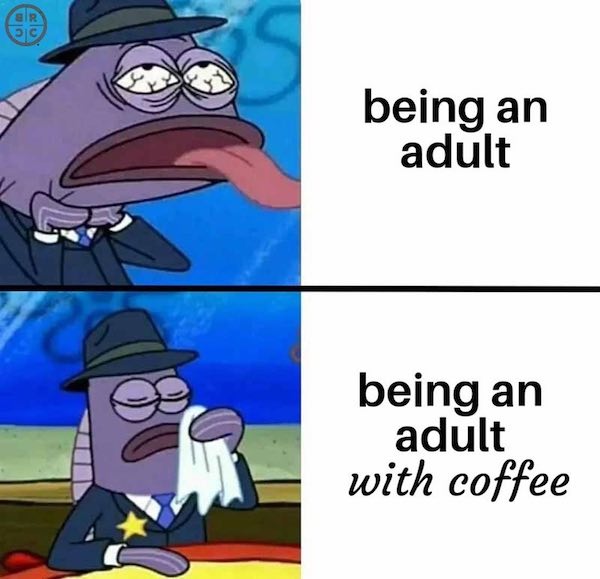 Coffee memes to go with... Well, your coffee, what else?