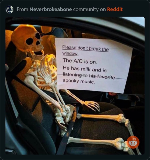 Skeleton memes to get us in the halloween spirit