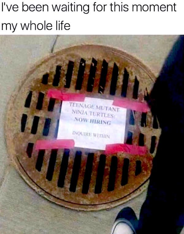 Mind-LESS Memes for Tuesday Sucks Funny Pick Me Up Best Photo Captions