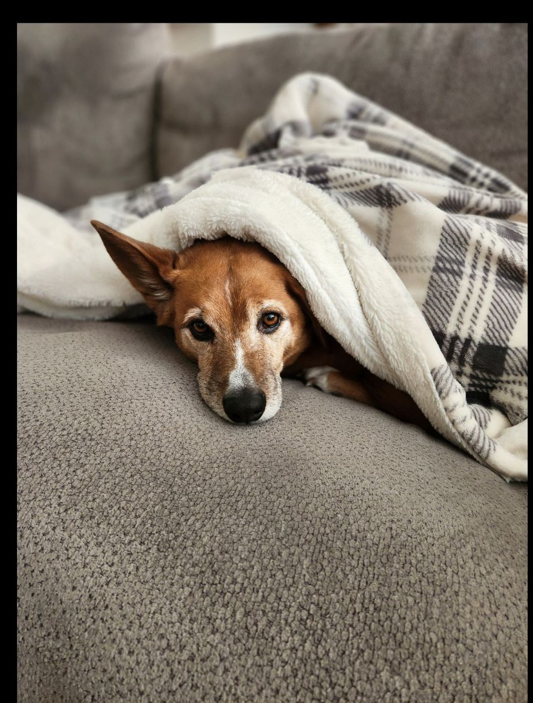 Meet the Good Boys of MyCHIVE