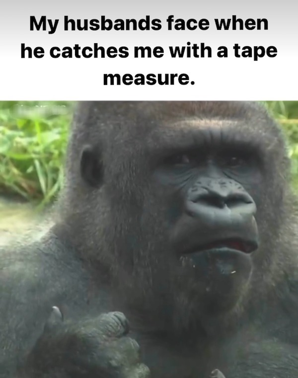 Too TRUE memes Funny Simple yet Stupid Logic List Funny Photo Captions