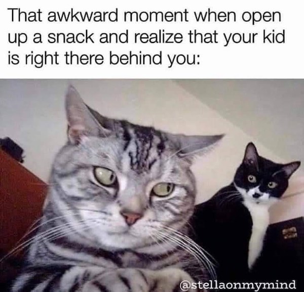Memes that parents of toddlers will find all too true