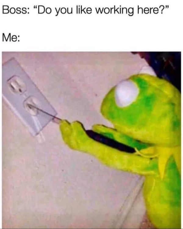 Mind-LESS Memes Best Stupid Funny Logic Photo Caption Best New Picture