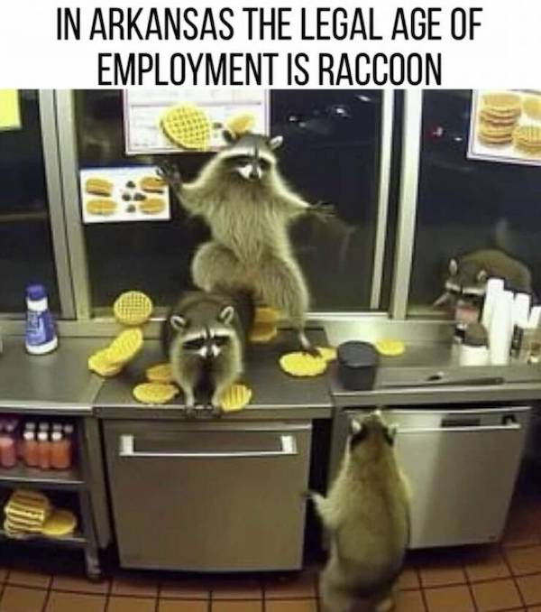 Work isn't fun, so you gotta find the humor in it all
