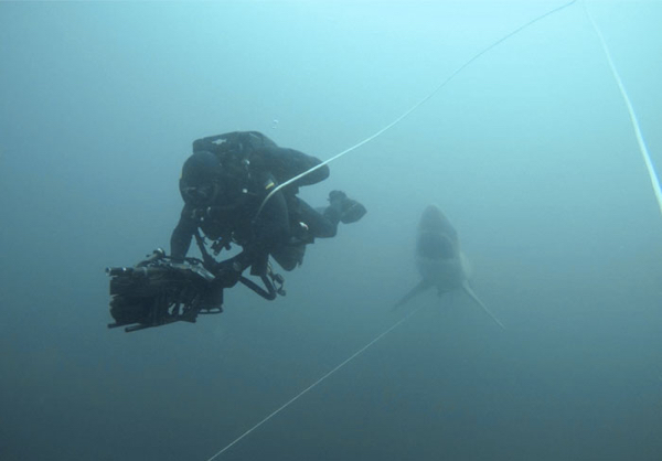 Not afraid of water? You might want to reconsider that...