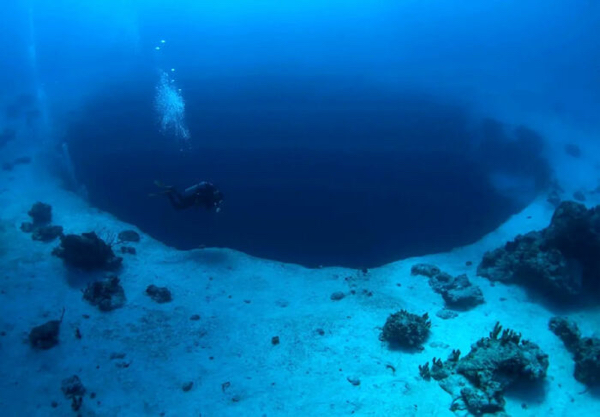 Not afraid of water? You might want to reconsider that...