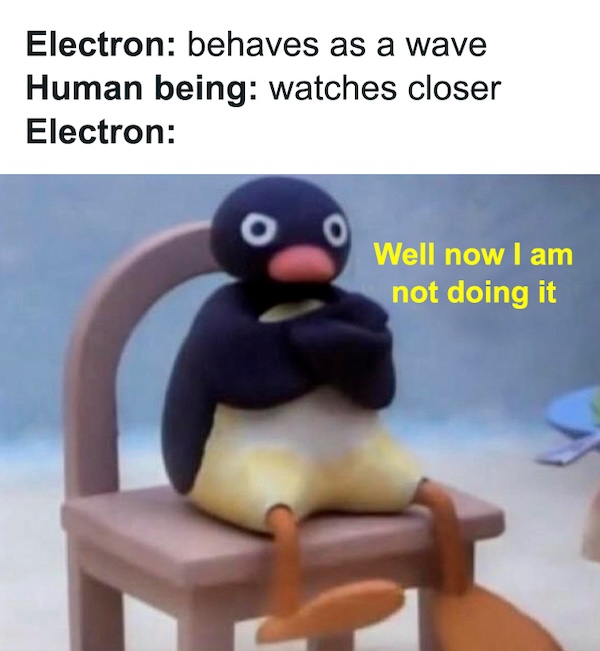 Physics was never my forte, but the memes somehow make perfect sense