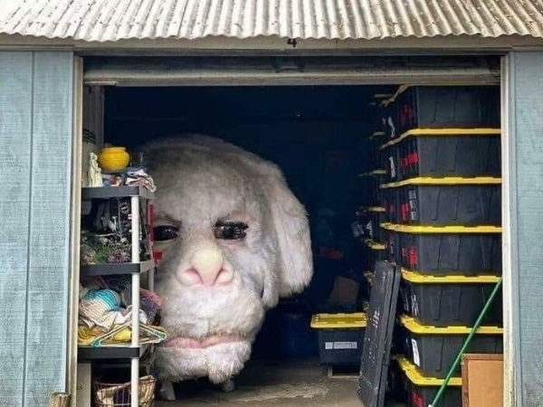 Creepy Photos That Will Keep You up at Night