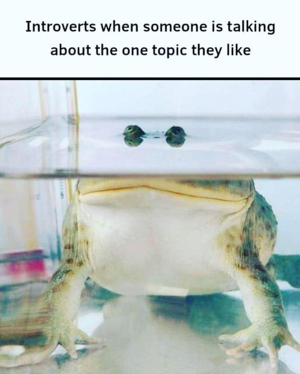 Mind-LESS Memes Best Stupid Hump Day Funny Logic Photo Captions