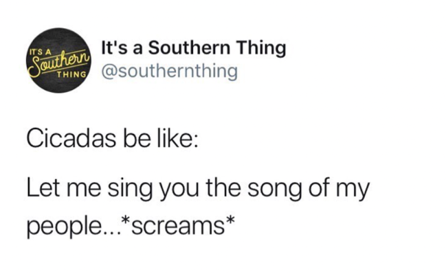 Only southerners will understand these memes (30 Photos)