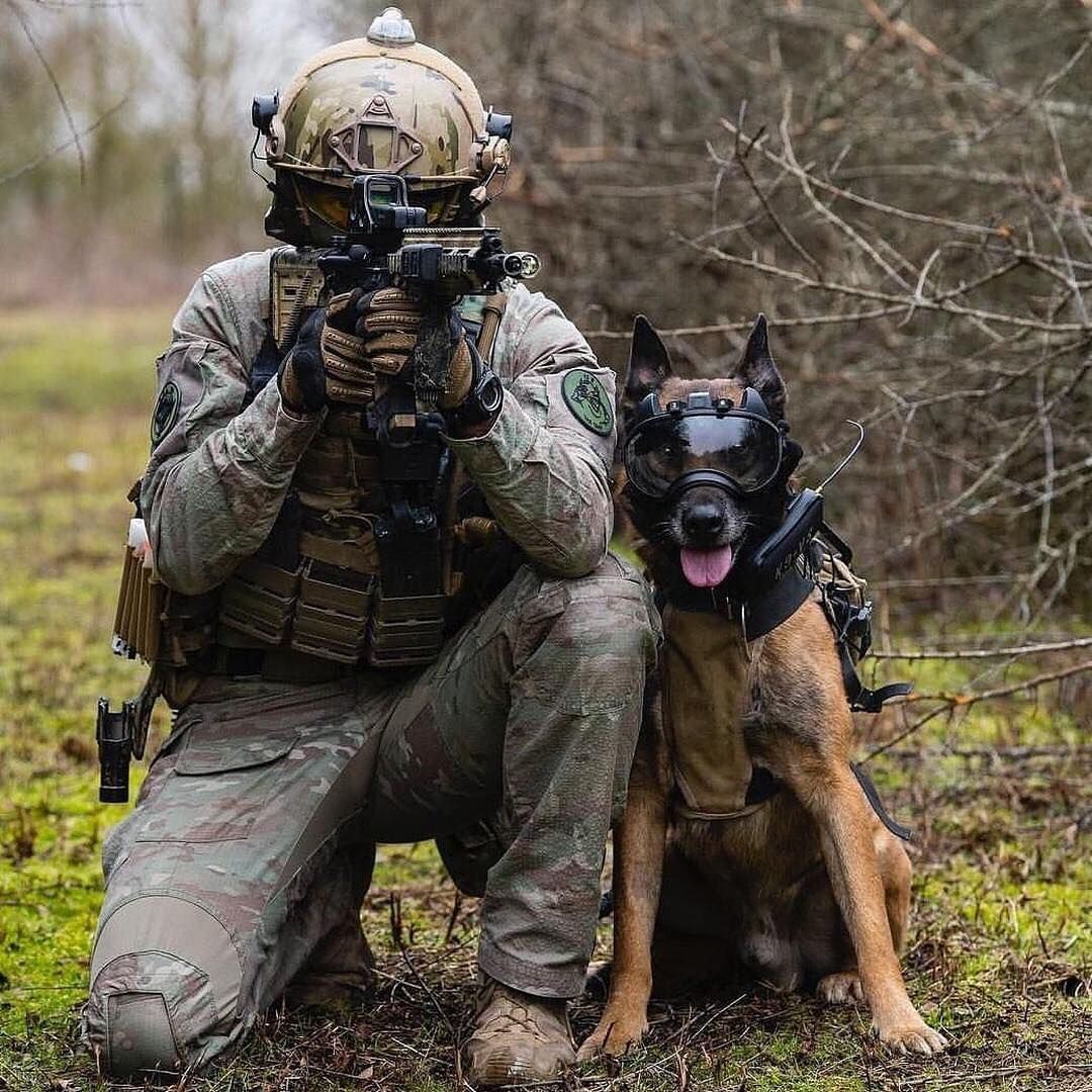 It’s a Dog’s World and We Love It