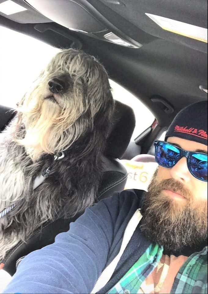 Like It or Not, It’s a Dog’s World