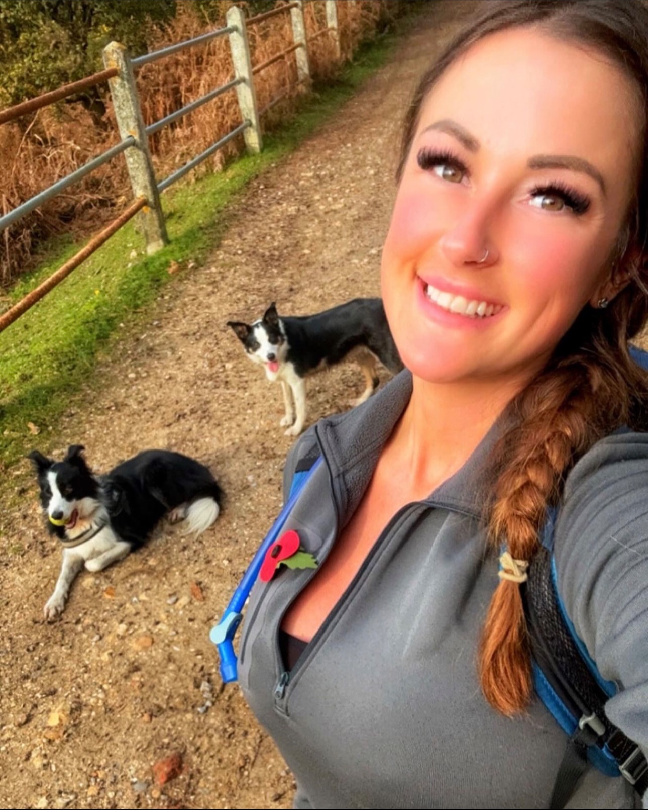 Dogs Are Awesome
