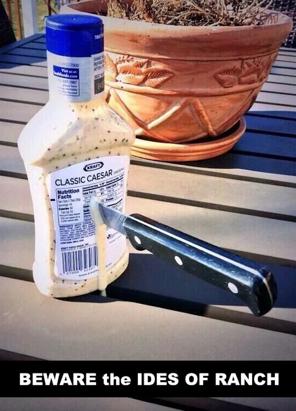 Mind-LESS Memes Best Stupid Funny Logic Photo Fun Friday Captions
