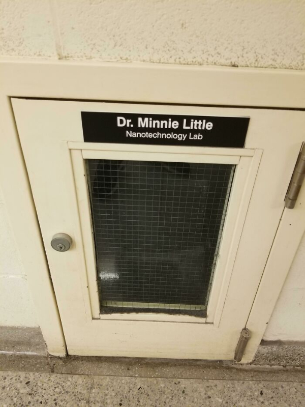 Open the Door to These Awesome... Doors
