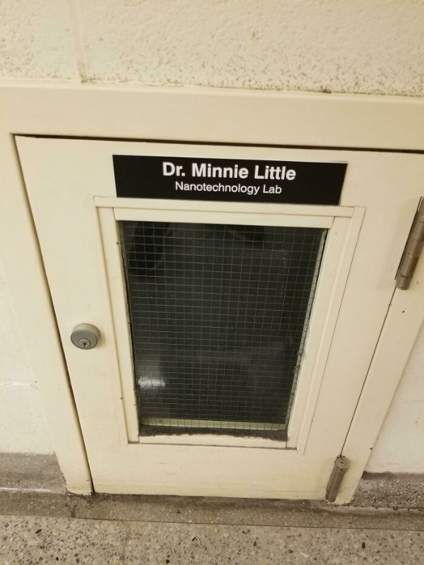 Open the Door to These Awesome... Doors