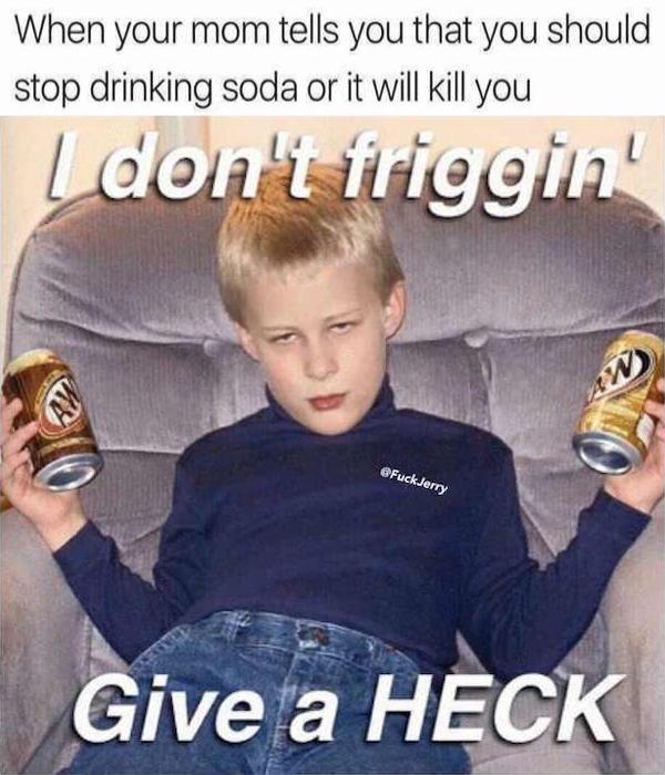 Mind-LESS Memes Best Stupid Funny Logic Photo Captions Morning Wisdumb